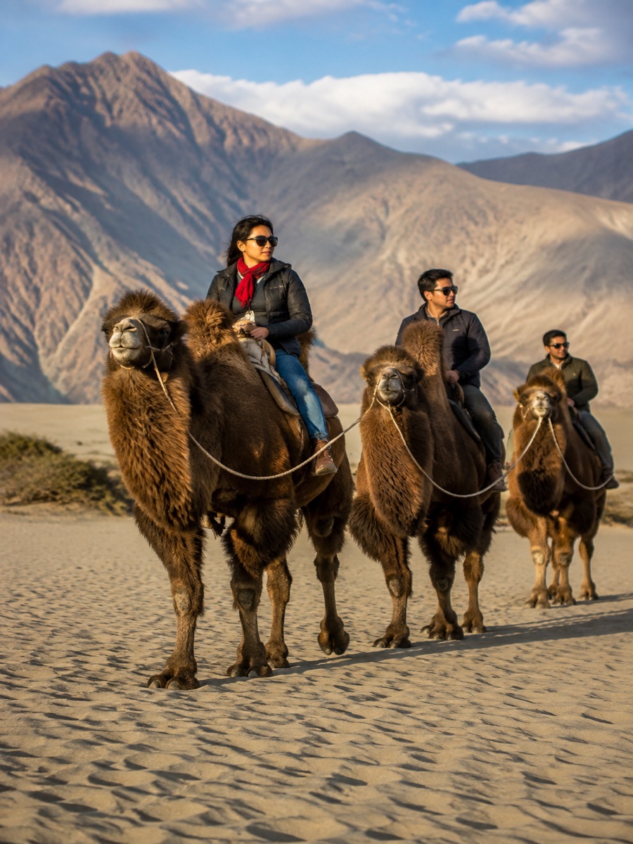Desert Safari in Nubra