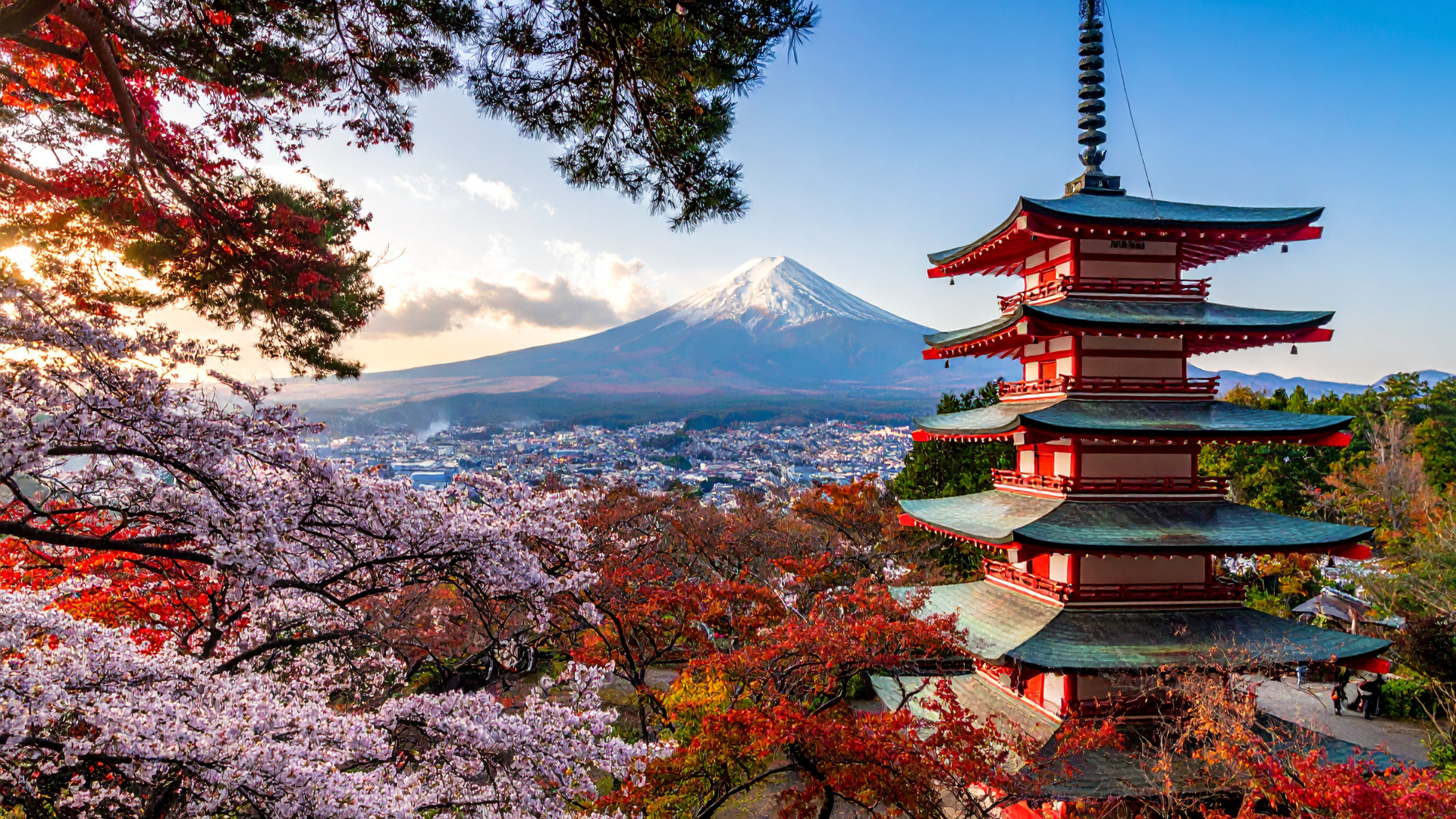 Japan, Beyond the Postcard